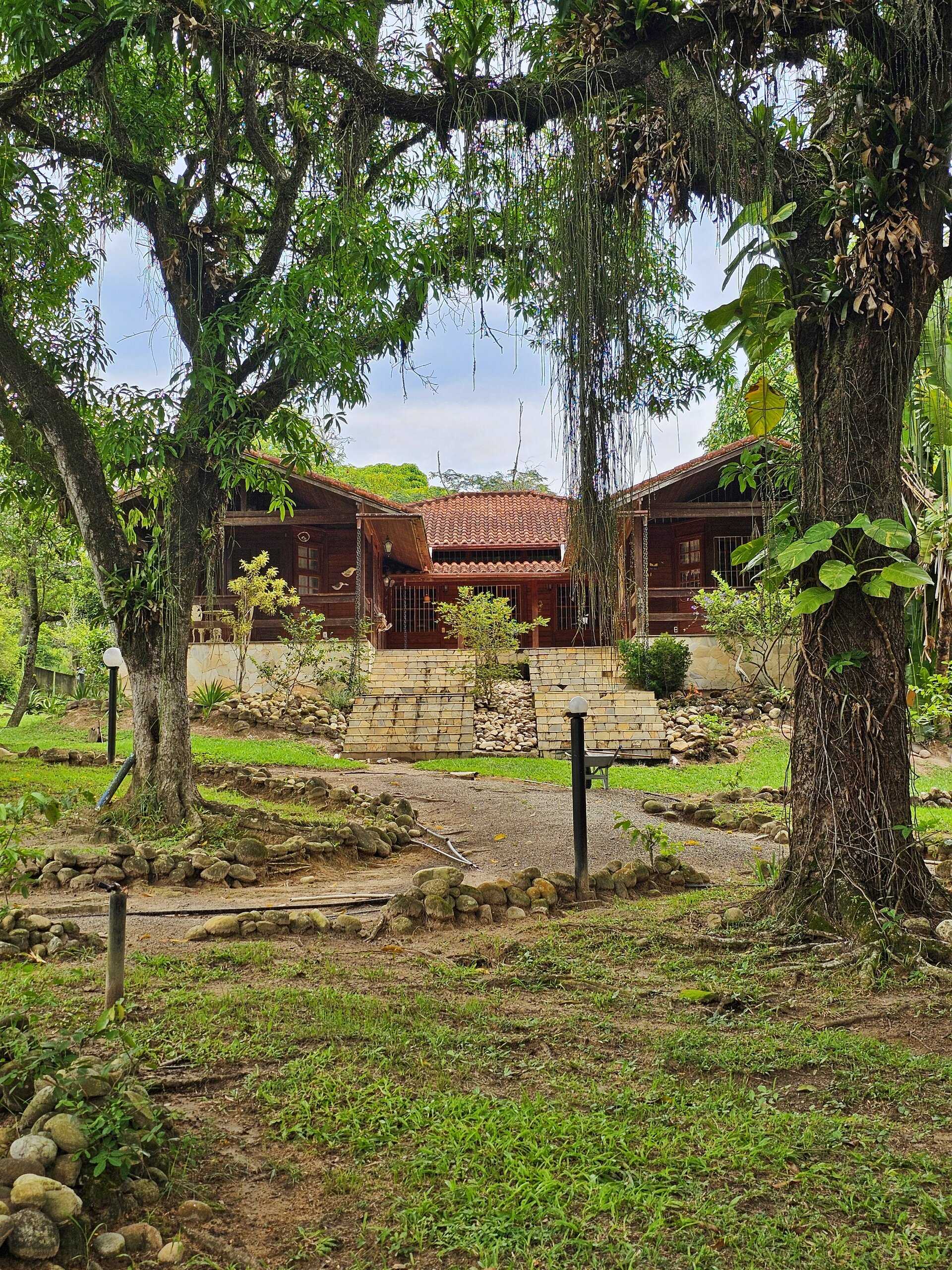 Fachada de cabanas de madeira entre árvores